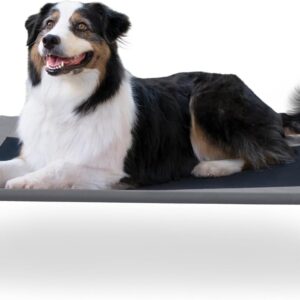 K&H Pet Products Outdoor Elevated Dog Cot, Breathable Cooling Elevated Cot Hammock Pet Bed for Large Dogs, Washable Mesh Cover, Raised Metal Frame, Collapsible, Portable – Large 42 X 30in Gray