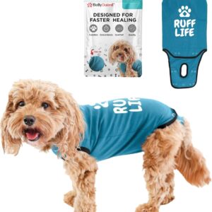 BellyGuard Dog Surgery Recovery Suit, Dog Onesie for Post-Op Care, Recovery Apparel for Female and Male, Surgical Body Cover for Canine Healing Support