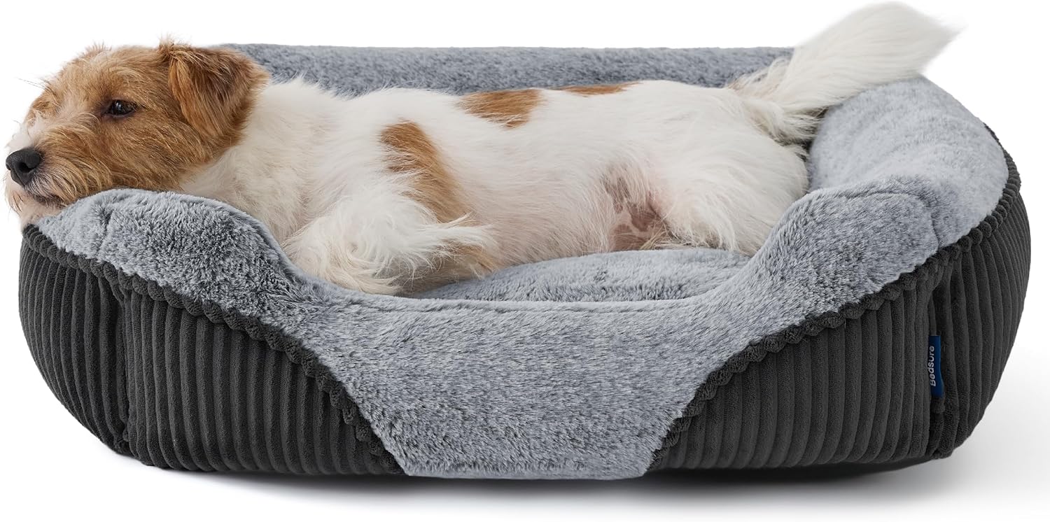 Bedsure Washable Dog Bed Small Medium Size Dog - Rectangle Fluffy Plush Pet Bed Puppy Bed, Comfy Corduroy Fleece and Nonskid Bottom,25x21x7inches,Suitable for Pet Up to 20lbs,Grey - Image 8