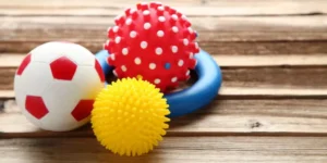 How Can You Find Affordable and Safe Dog Toys?