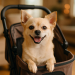 Best Dog Stroller for Small Dogs to Keep Your Pet Comfortable and Safe