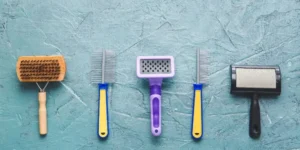 What Grooming Tools Are Essential for Long-Haired Dogs?
