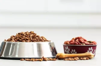 The Importance of High-Quality Dog Food Storage
