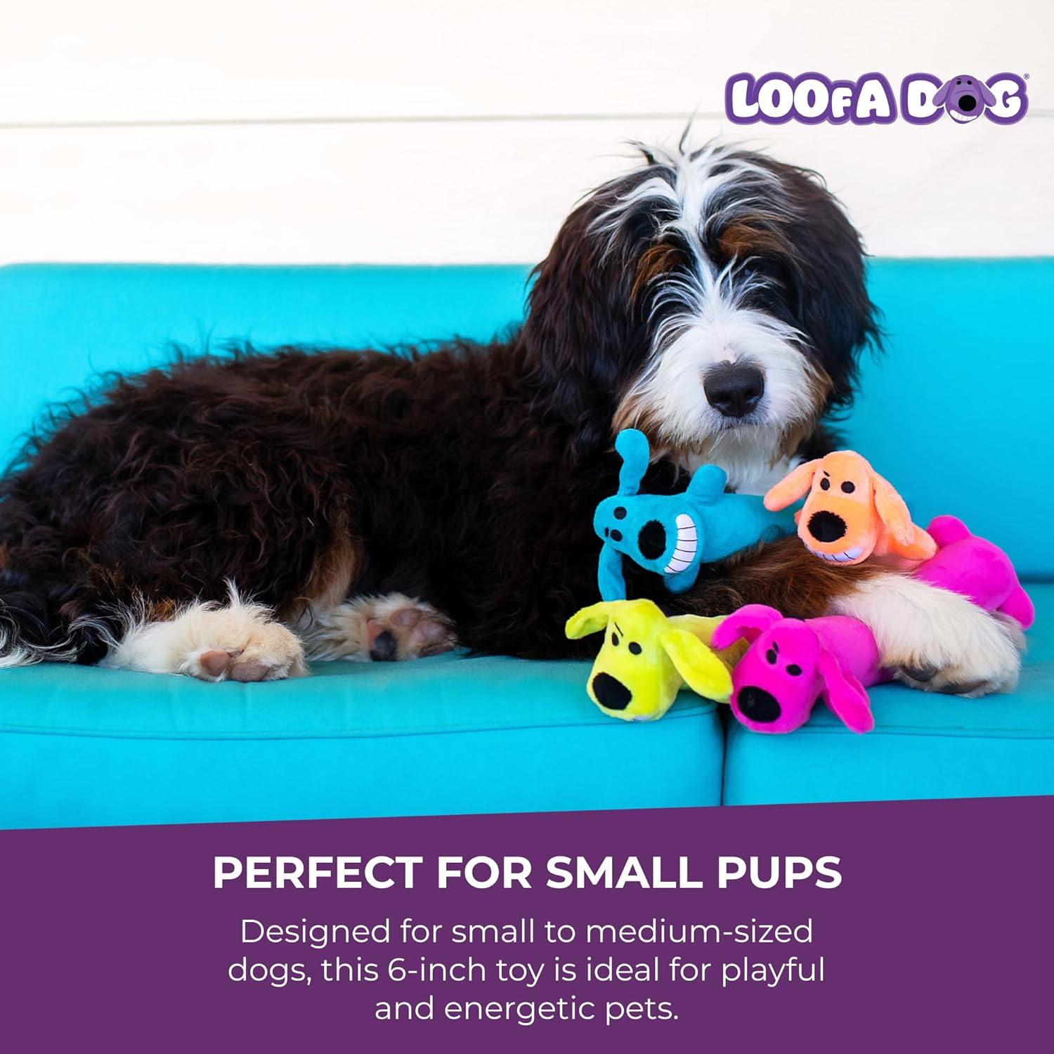 Multipet Original Loofa Dog Plush Toy - Squeaky Toy for All Dogs - Extra Soft Plush - Stuffed Animal Dog Toys for Playing (1 Count, 6”, Random Color Surprise) - Image 6