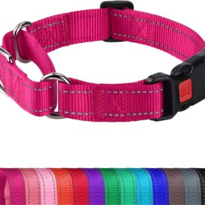 Joytale Martingale Collar for Dogs, Reflective Escape Proof Training Dog Collars with Safety Lock Buckle, No Slip Soft Nylon for Medium Pets, Hotpink, M