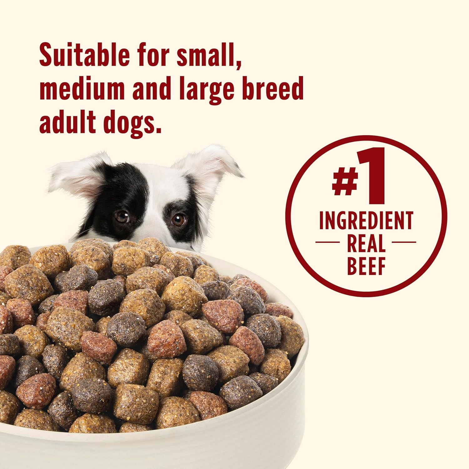Nutrish Real Beef, Pea & Brown Rice Recipe Whole Health Blend Dry Dog Food, 28 lb. Bag, Packaging May Vary (Rachael Ray) - Image 6
