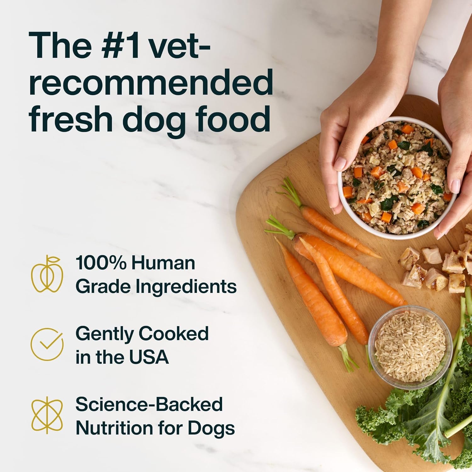JustFoodForDogs JustFresh Wet Dog Food, Fresh Pet Meals and Toppers with No Preservatives, Resealable Package, Human Grade, Home-Cooked Chicken, 12 oz - 7 Pack - Image 4