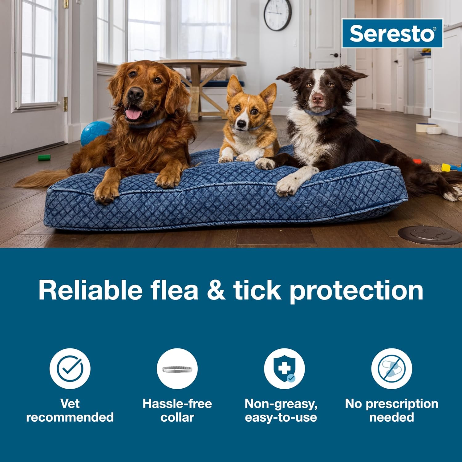 Seresto Large Dog Vet-Recommended Flea & Tick Treatment & Prevention Collar for Dogs Over 18 lbs. | 2-Pack - Image 3