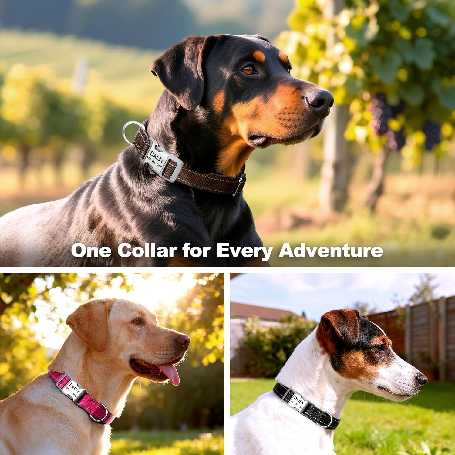 Personalized Dog Collars with Laser Engraved Name & Phone Number – Reflective Nylon Custom Pet Collar, Neoprene Padded, Adjustable for Small Medium Large Dogs with Quick Release Buckle - Image 6