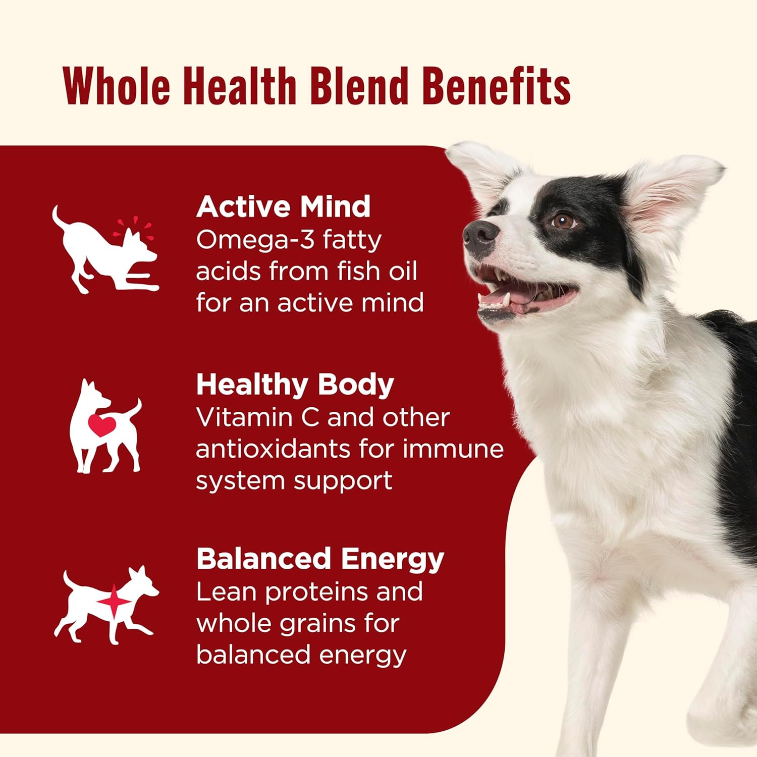 Nutrish Real Beef, Pea & Brown Rice Recipe Whole Health Blend Dry Dog Food, 28 lb. Bag, Packaging May Vary (Rachael Ray) - Image 4