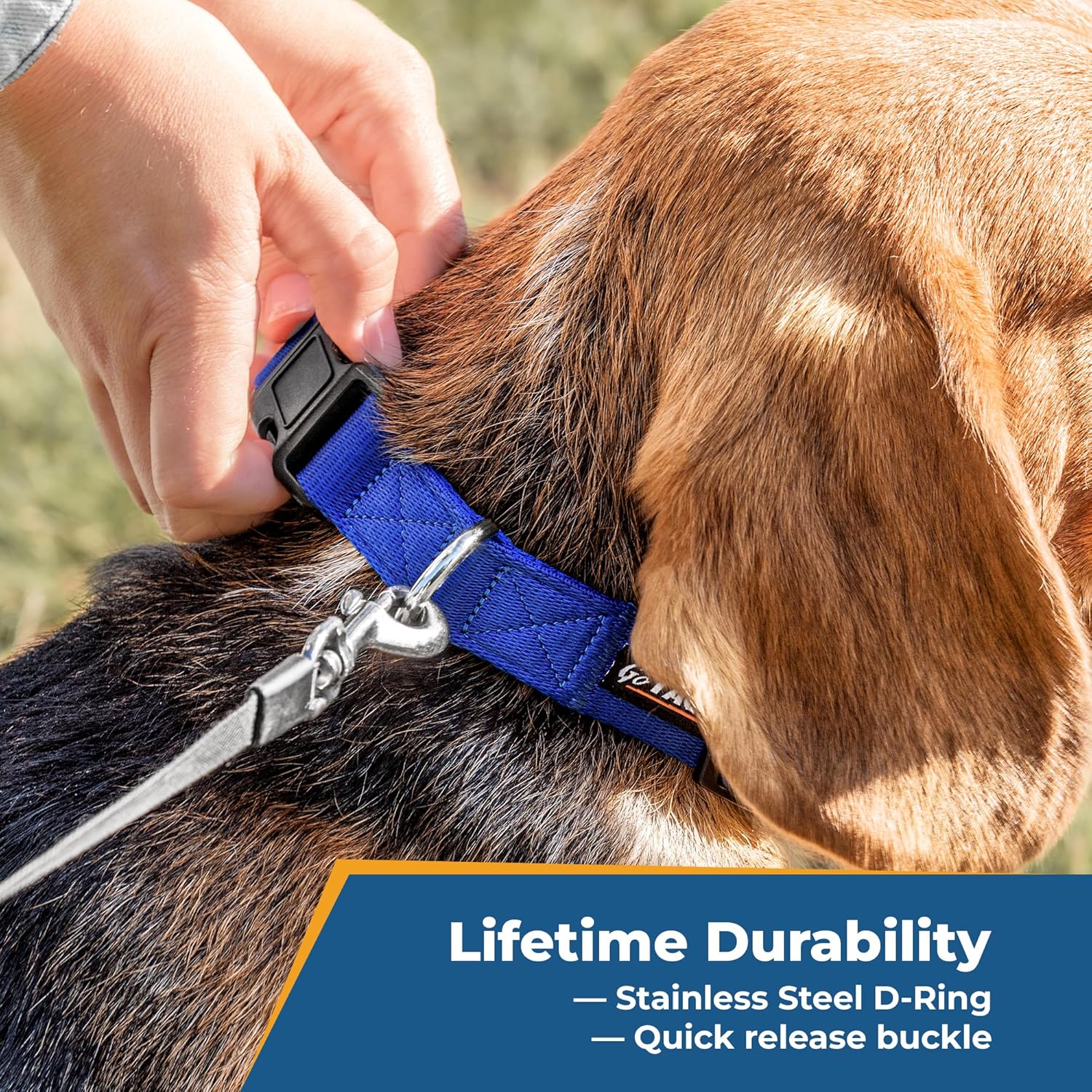 GoTags Personalized Dog Collar, Custom Embroidered with Pet Name and Phone Number in Blue, Black, Pink, Red and Orange, for Boy and Girl Dogs or Cats, Adjustable Sizes, Small, Medium, and Large - Image 6
